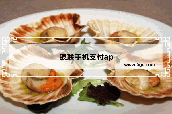银联手机支付app下载