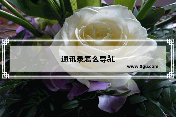 通讯录怎么导入新手机