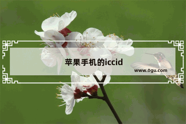 苹果手机的iccid是多少