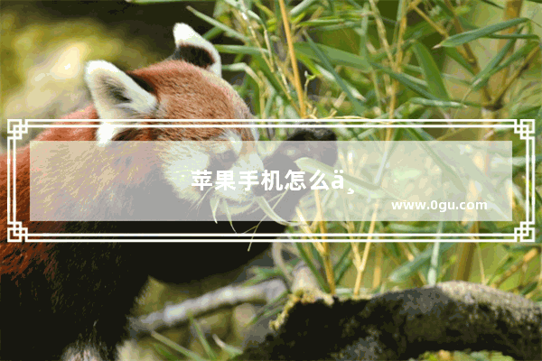 苹果手机怎么一直震动