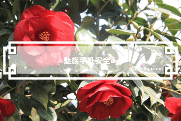 魅族手机安全中心怎么没了