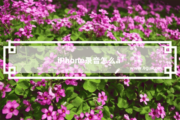 iPhone录音怎么导出iPhone录音导出的两种方法