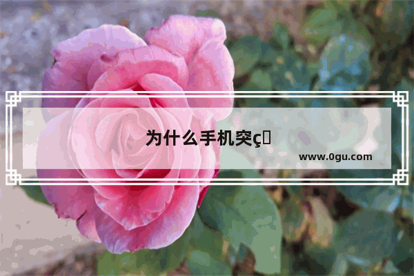 为什么手机突然变2g没信号