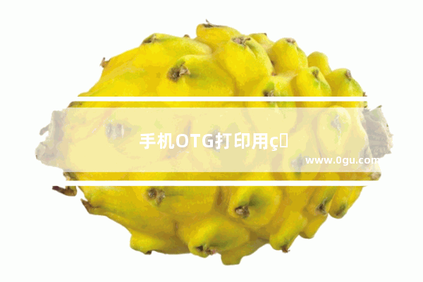 手机OTG打印用的什么软件