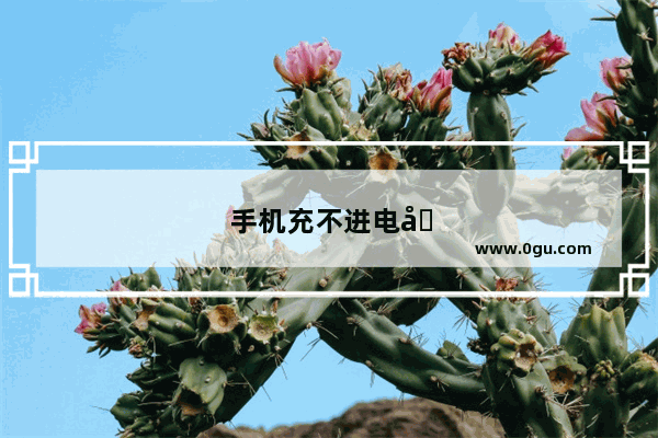手机充不进电原因是什么