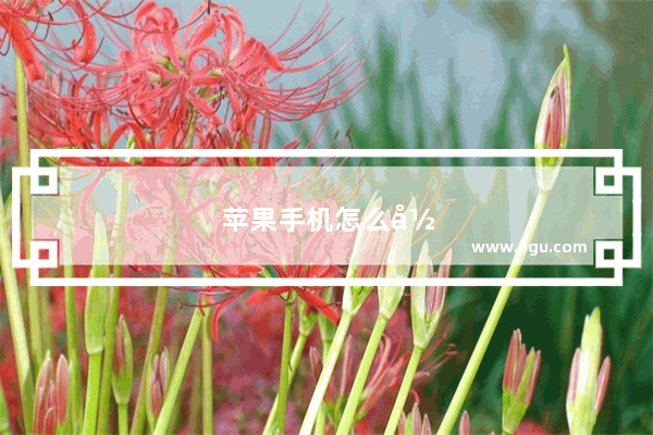 苹果手机怎么录屏声音保存不了
