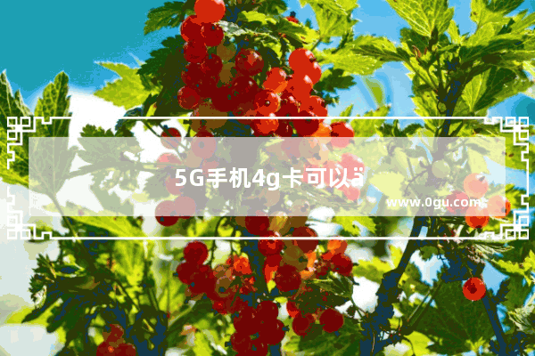 5G手机4g卡可以使用吗