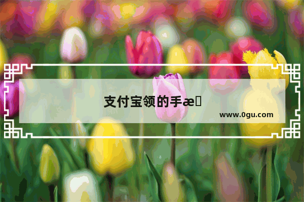 支付宝领的手机卡怎么退