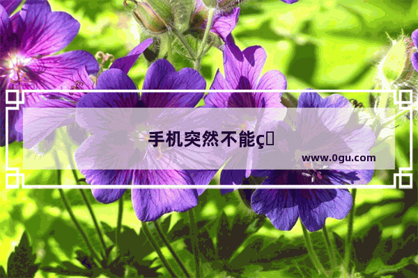 手机突然不能用OTG了