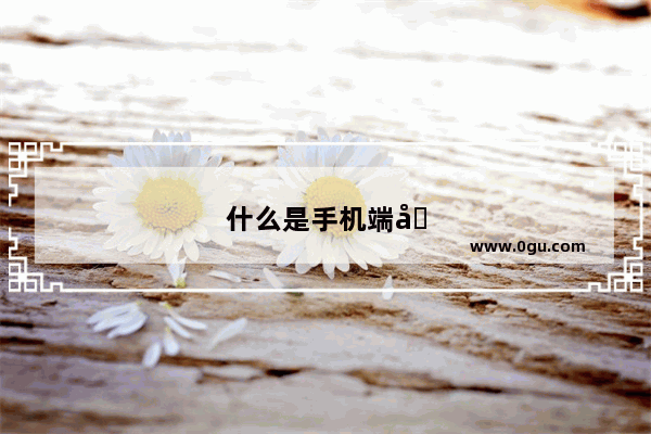 什么是手机端口