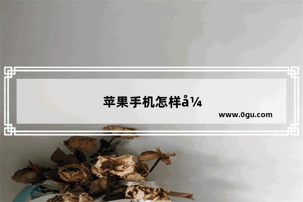 苹果手机怎样开分身