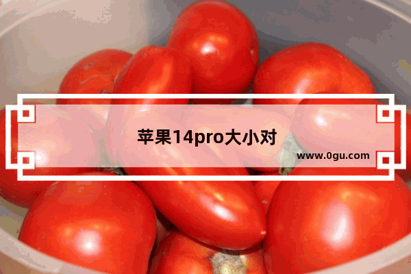 苹果14pro大小对比