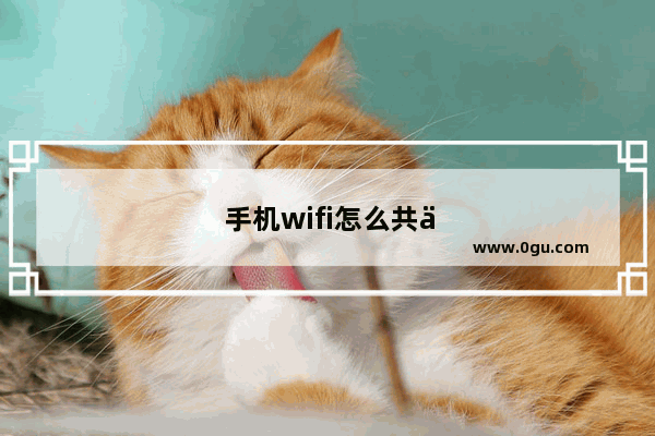 手机wifi怎么共享到电脑