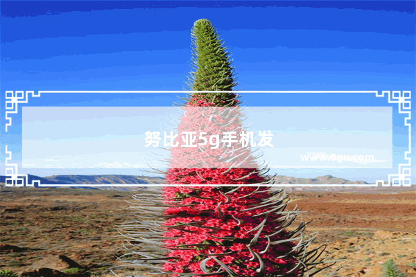 努比亚5g手机发布会