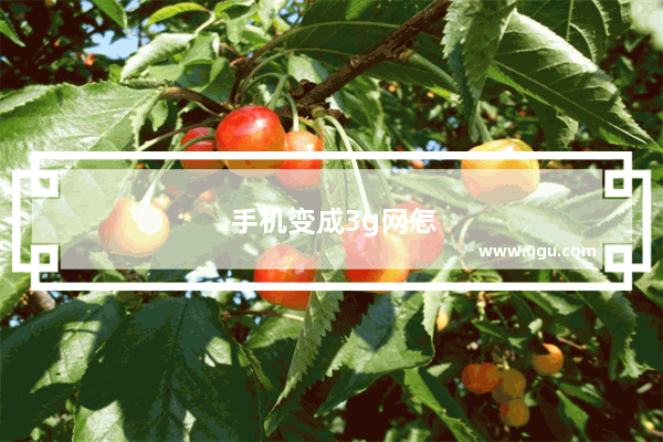 手机变成3g网怎么回事