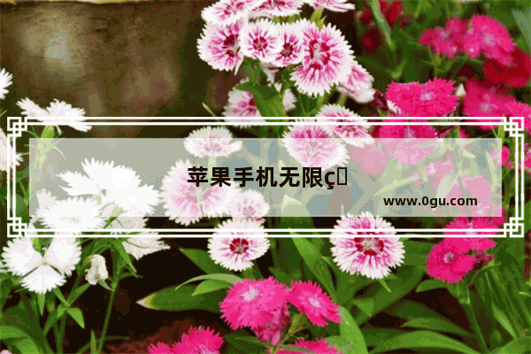苹果手机无限白苹果解决方法