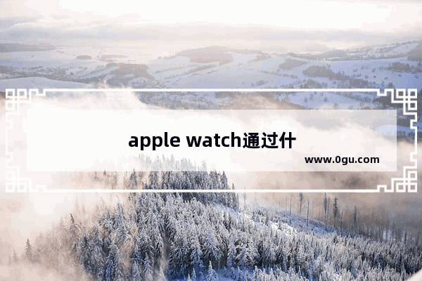 apple watch通过什么连接手机