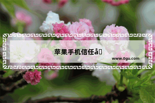 苹果手机信任在哪里设置 授权管理