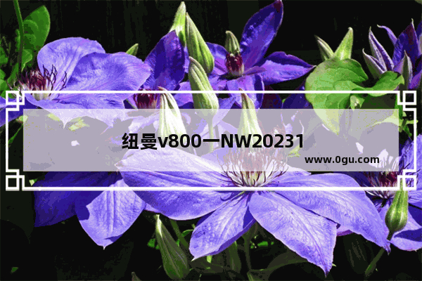 纽曼v800一NW2023111手机质量怎么样