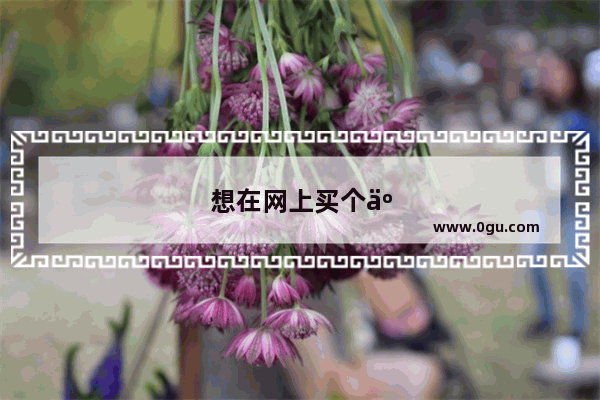 想在网上买个二手手机 请推荐些店铺