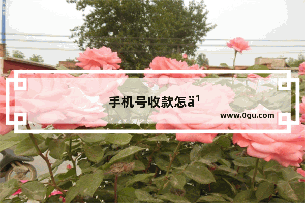手机号收款怎么使用
