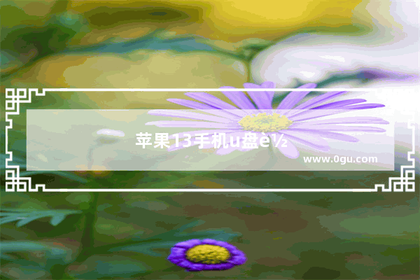 苹果13手机u盘转换器怎么用