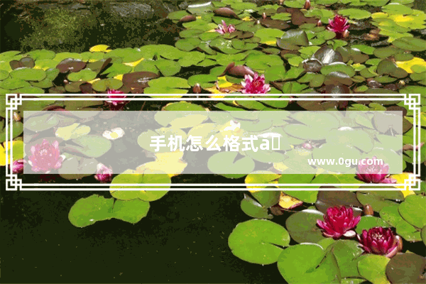 手机怎么格式化sd卡