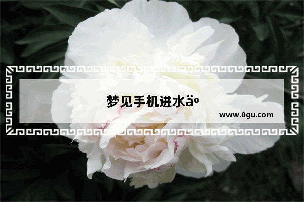 梦见手机进水了是什么意思