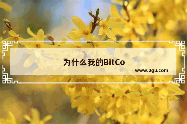 为什么我的BitComet无法进行下载请各位朋友多多指教