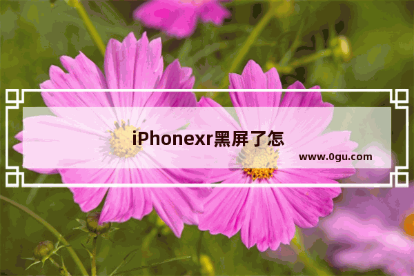 iPhonexr黑屏了怎么恢复正常