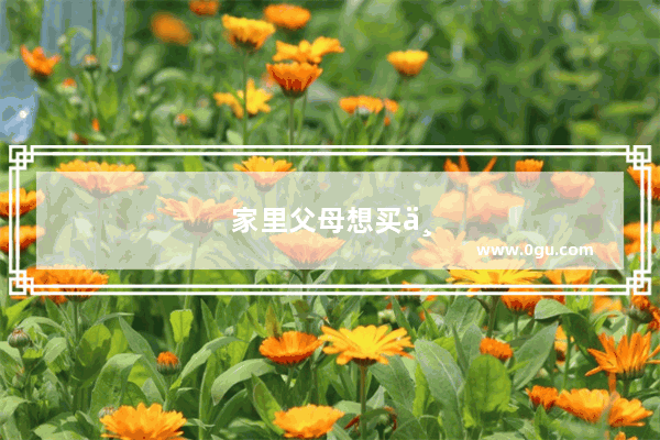 家里父母想买一部手机 能看电视打电话就可以 性比价高一些 有哪些值得推荐的手机