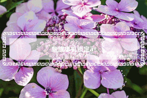 魅族手机锁定了怎么办要怎么解锁