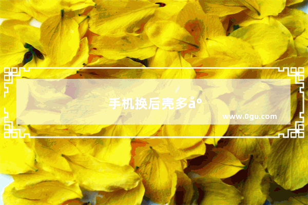 手机换后壳多少钱