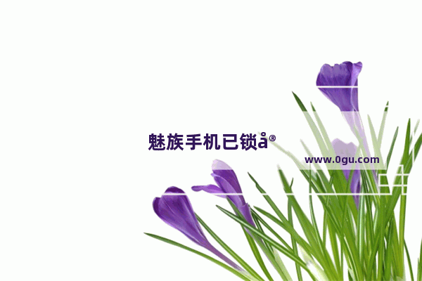 魅族手机已锁定如何强制刷机