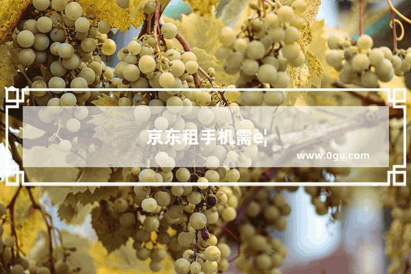 京东租手机需要什么条件