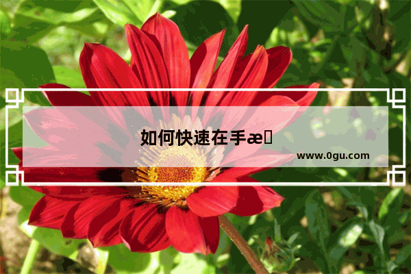 如何快速在手机上赚取零花钱