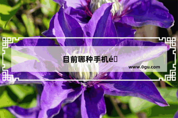 目前哪种手机防水比较好