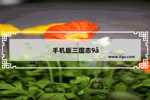 手机版三国志9威力加强版