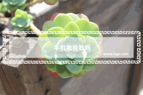 手机能验钞吗