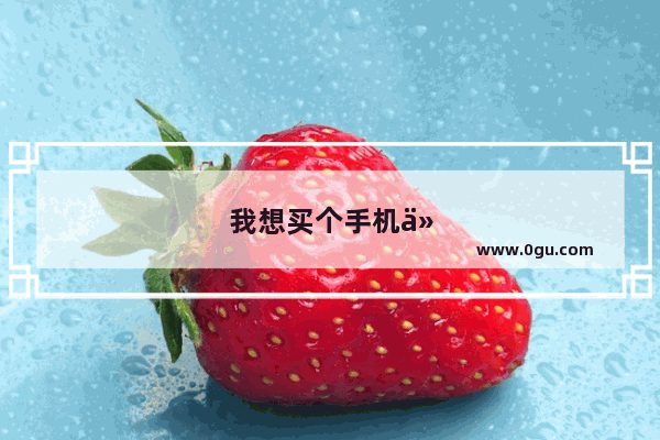我想买个手机什么牌子好