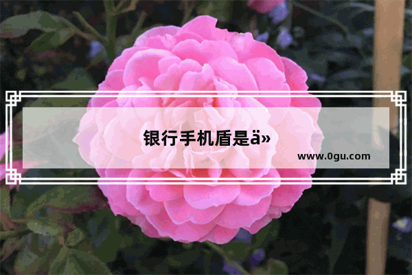 银行手机盾是什么