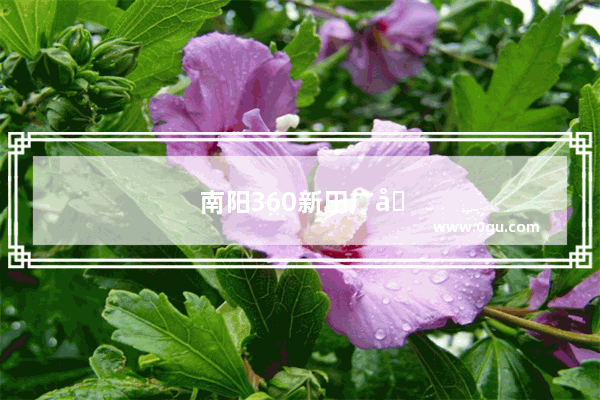 南阳360新田广场有售后吗