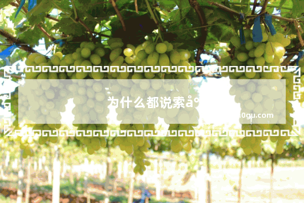 为什么都说索尼手机好但不买