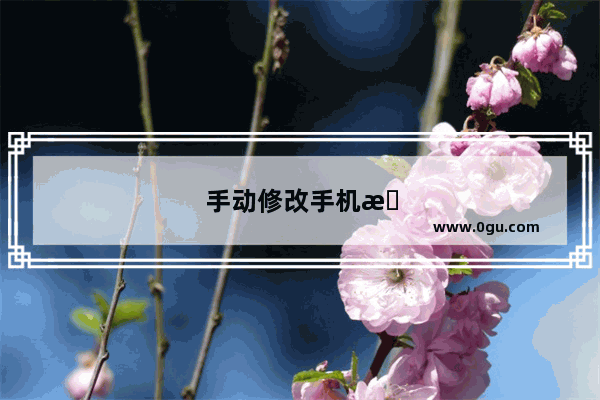 手动修改手机无线网络的DNS地址