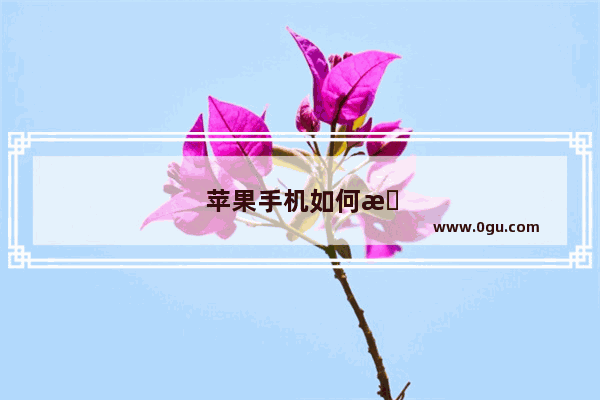 苹果手机如何拆机换电池