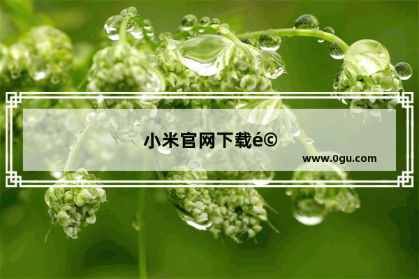 小米官网下载驱动系统怎么安装