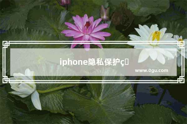 iphone隐私保护的好吗