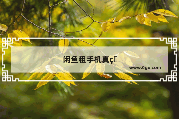 闲鱼租手机真的假的