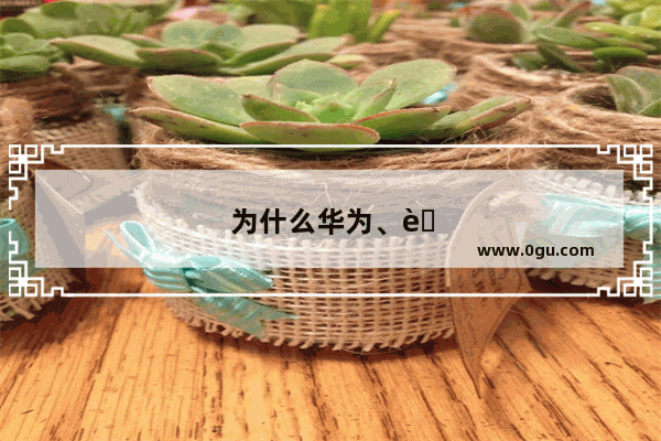 为什么华为、联想、小米等国产手机商纷纷计划推出滑盖式手机 而不做OV机械结构的手机