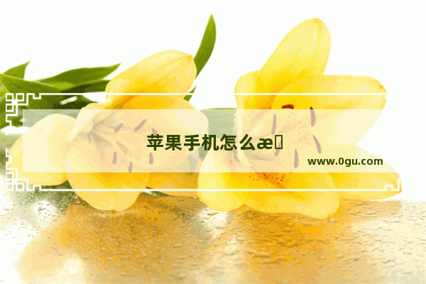 苹果手机怎么接龙